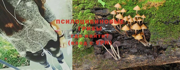 дмт Алексин