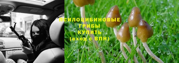 героин Алзамай